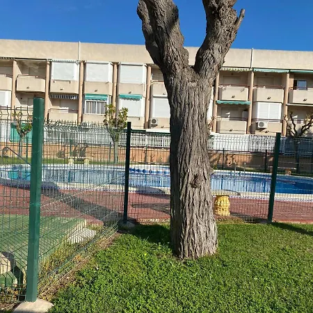 Mil Palmeras Pilar de la Horadada