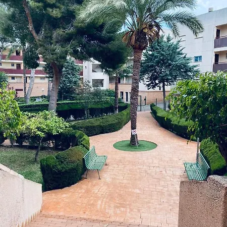 Mil Palmeras Pilar de la Horadada